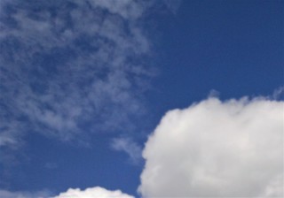 176.jpg