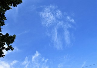 183.jpg